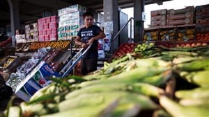 高科技公司参与争抢食品送货上门服务市场