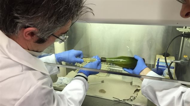 Researchers at Dalhousie University tested the liquid found inside a historic bottle of Alexander Keith’s beer found off the coast of Halifax, confirmed it was beer, and tasted it. They kept the bottle’s cork intact by extracting the beer through a syringe.