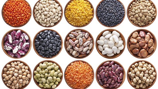 L'année internationale des légumineuses, décrétée par Organisation des Nations Unies pour l'alimentation et l'agriculture (FAO) L'année internationale des légumineuses, décrétée par Organisation des Nations Unies pour l'alimentation et l'agriculture (FAO)