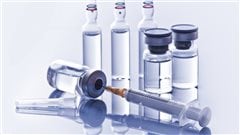 agence de rencontre nouveau brunswick