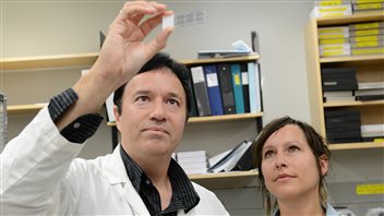 Associate Prof. Steven Laviolette and lead author Justine Renard look at evidence from their study of THC’s molecular effect on the brain.