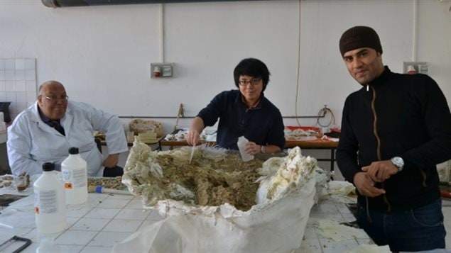 Tetsuto Miyashita, centre, visited Tunis in 2015 with Federico Fanti to study the skull in collaboration with some of the Tunisian researchers pictured here.