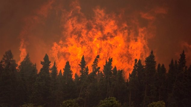 A hot dry spring in Canada’s boreal forest led to record wild fires in Canada, here a fire approaches La Ronge Saskatchewan, Massive wildfires also occurred in California, South Arfrica and Australia