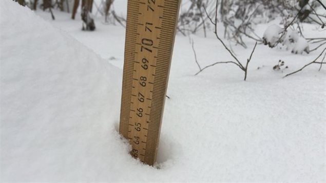 El sabado 23 de enero cayeron más de 60 centímetros de nieve en Washington.