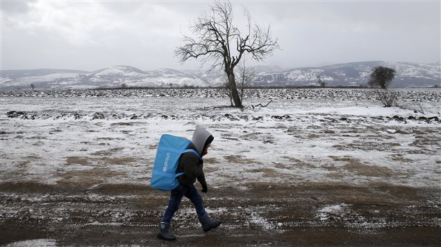  A migrant child walks through a frozen field after crossing the border from Macedonia, near the village of Miratovac, Serbia, January 18, 2016. 