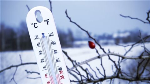 Dans la plus grande partie du Canada, les conditions extrêmes des hivers canadiens semblent être la norme plutôt que l’exception. 