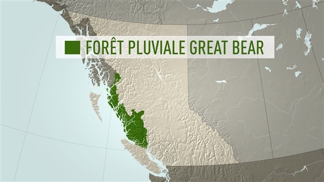 Mapa del bosque Grand Ours en Columbia Británica.