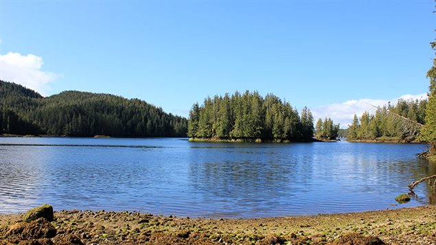 Kisameet Bay, British Columbia near where the unique clay deposit is found.