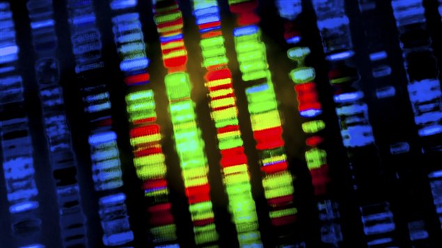 La médecine génomique pourra désormais se pratiquer sans obstacle juridique et en se basant sur le profil génétique spécifique de chaque patient.