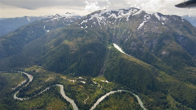 View of a tiny portion of the multi million hectare Great Bear rainforests which covers hundreds of kilometers of British Columbia’s Pacific coast.