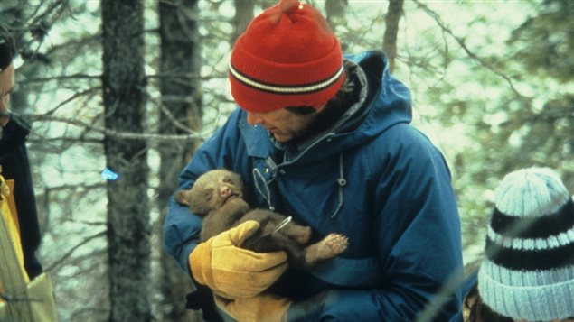 University of Calgary professor Stephen Hererro is a world-renown expert on bears.