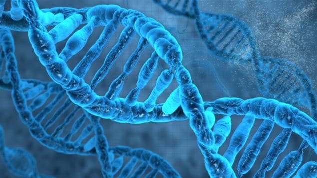 Britain’s fertility regulator has approved a scientist’s request to edit the human genetic code in an effort to fight inherited diseases, but critics say it crosses ethical boundaries. 