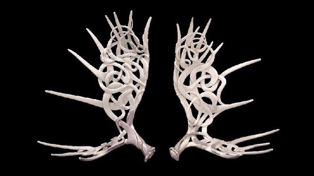 Shane Wilson’s beautiful and intricately carved moose antlers called Borealis And Oreithyia