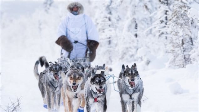 Twenty-two mushers are still in the race as of Monday