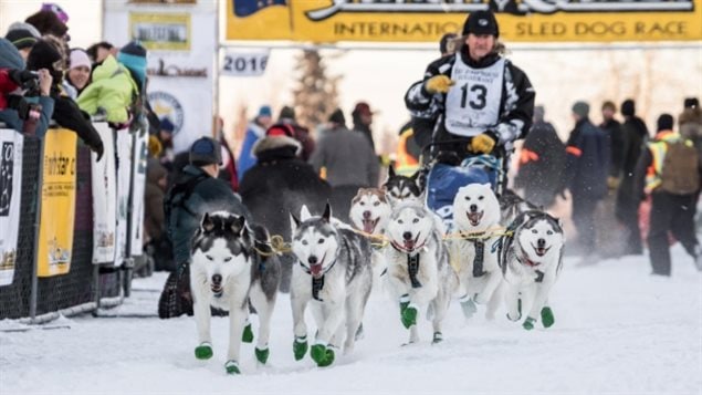 Musher Tony Angelo departs the starting line of the Yukon Quest sled dog race in Fairbanks, Alaska, Saturday. 