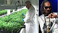 Snoop Dogg s’associe avec une usine de pot de Smiths Falls.