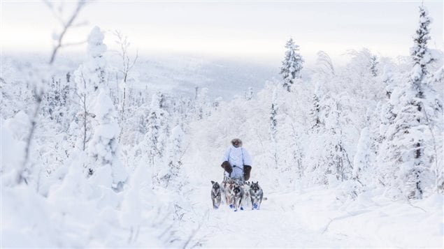 北极圈冷峻之美：育空狗拉雪橇越野赛
