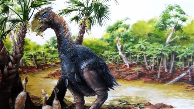 Voici Gastornis un oiseau géant incapable de voler qui parcouraient autour de ce qui est maintenant connu sous le nom du Nunavut il y a plus de 50 millions d’années. 