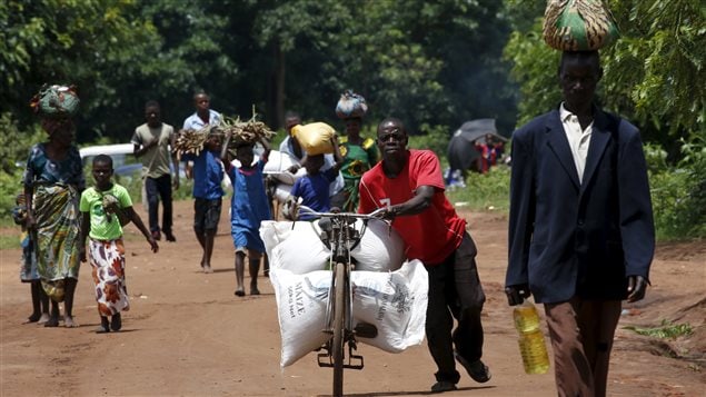  A Malawian man transports food aid distributed by the United Nations World Food Progamme (WFP) through maize fields in Mzumazi village near the capital Lilongwe, February 3, 2016. Late rains in Malawi threaten the staple maize crop and have pushed prices to record highs. About 14 million people face hunger in Southern Africa because of a drought exacerbated by an El Nino weather pattern, according to the WFP.