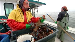pêcheurs de homard