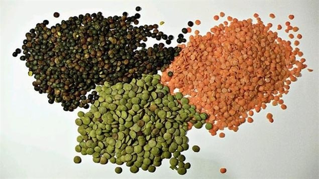 People may be encouraged to eating more legumes and less meat as a source protein and a way to lessen livestock emissions.