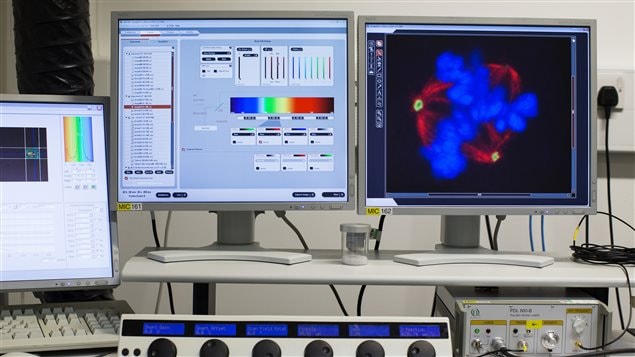 Grâce à cinq projets du Partenariat canadien contre le cancer, les données liées à l'analyse et au traitement seront couplées.