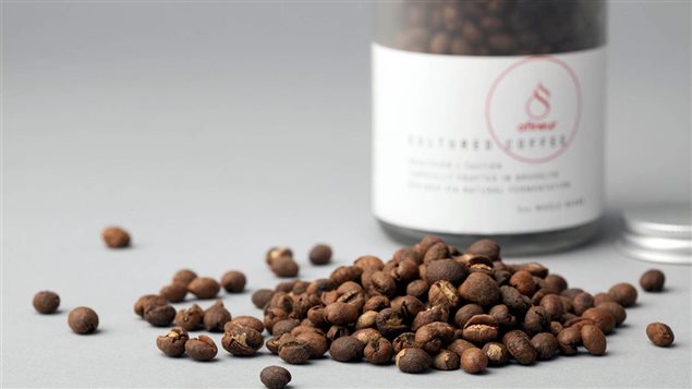 Le café d'Afineur Le café d'Afineur