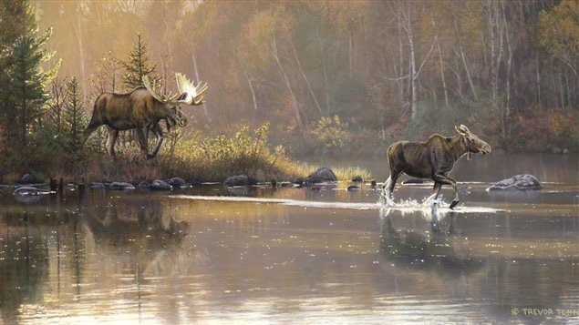 His painting “Shoreline Retreat” won Trevor Tennant Artist of the Year 2016 in the contest which raises money to preserve wetlands.