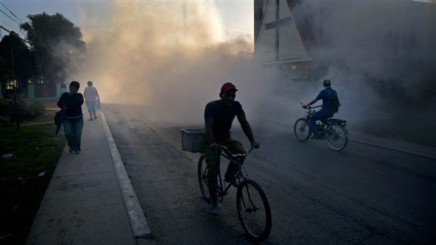Cuba acelera las tareas de fumigación contra el mosquito que transmite el Zika.