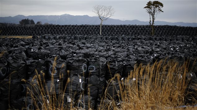Sacs contenant de la terre et des débris radioactifs jetés dans un dépotoir « temporaire » à Fukushima, le 22 février 2015.