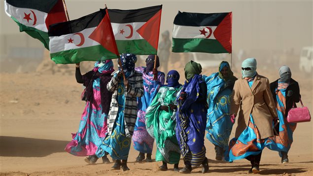 Población saharaui en el Sahara Occidental. La República Árabe Saharaui Democrática, reivindica la soberanía de ese territorio ocupado por Marruecos.