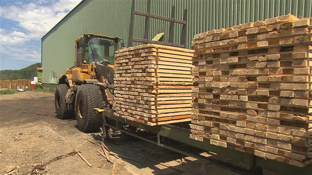 مصنع لإنتاج خشب البناء في كندا (أرشيف)