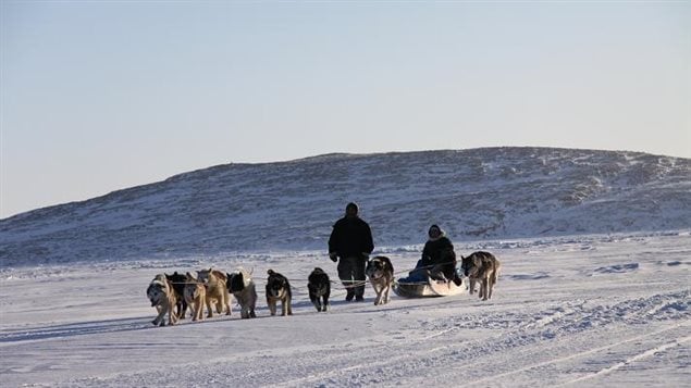  A dog team pulls a sled on the ice near Clyde River, Nunavut. Photo: Levon Sevunts/Radio Canada International