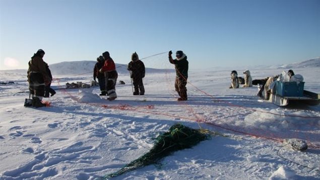  Inuit hunters set up seal nets under the ice near Clyde River, Nunavut. Photo by Levon Sevunts.