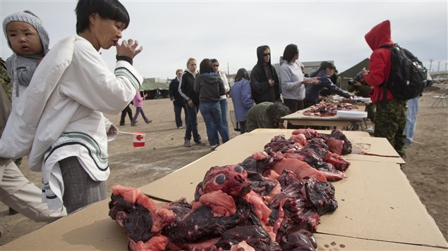 Seal meat is considered a healthy food, traditionally eaten raw by Inuit in the Arctic. 