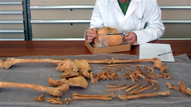 Un chercheur examine des ossements qui démontrent que les membres de l’expédition Franklin ont eu recours au cannibalisme. PHOTO : SIMON MAYS
