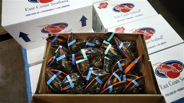 : Europe is a highly lucrative market for North American lobsters.