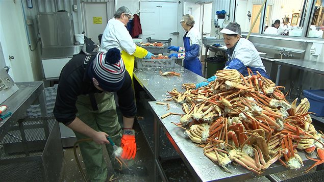 Du crabe des neiges pour Pâques à la poissonerie Soucy de Sept-Îles. 