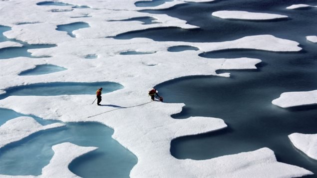 Due to global warming, the Arctic is one of the fastest changing regions on the planet