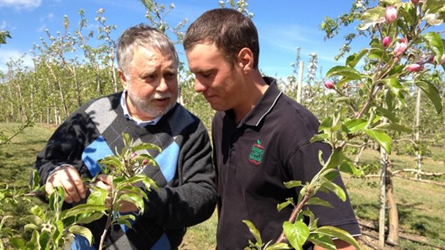 Ontario’s Agriculture Minister Ted McMeekin (left) and farmer Richard Feenstra examine apple blossoms in May 2012. Early blooms can be damaged by frost, ruining the apple crop.