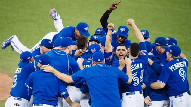 The Blue Jays celebrated returning to the playoffs for the first time in 22 years and were two wins away from the World Series during the 2015 season. We'll know in six months if they can do it again. We see a bunch (about 10 or 12) of young men in blue jerseys and white pants jumping all over each other in celebration--something akin to a rugby scrum gone mad.