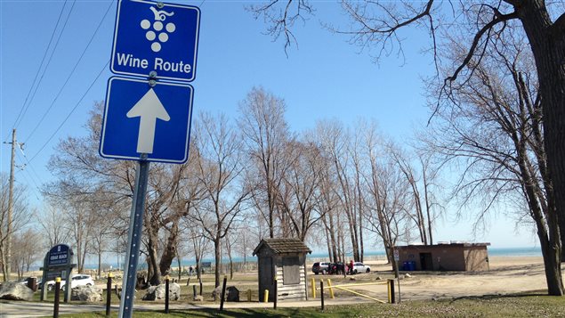 La route des vins à Kingsville La route des vins à Kingsville