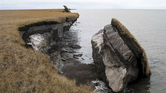 Collapsed blocks of permafrost near Drew Point Alaska. The USGS reporst shoreline erosion along the Arctic coast ranging from 2 to 18 metres per year.