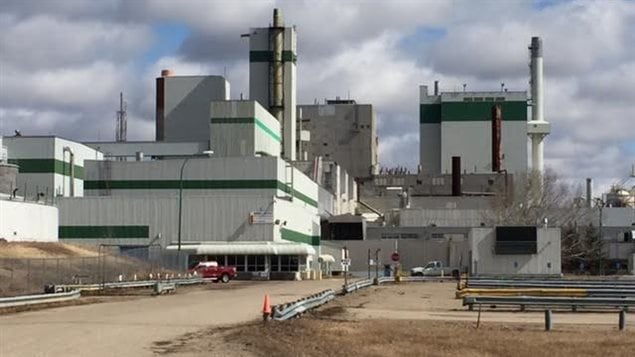 مصنع للورق في برينس ألبرت، ثالث أكبر مدينة في مقاطعة ساسكاتشيوان في غرب كندا (أرشيف)