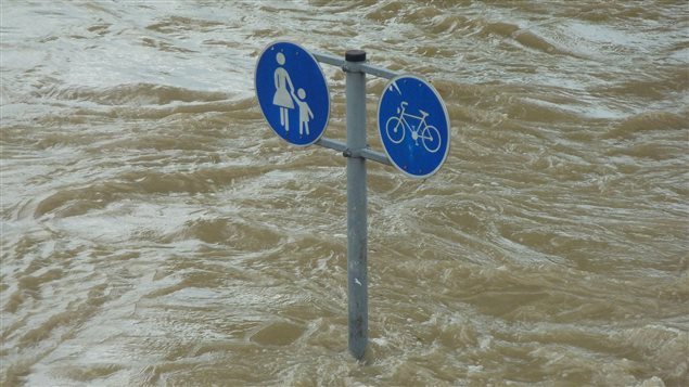 La degradación del medioambiente podría ser irrevesible en el futuro inmediato.