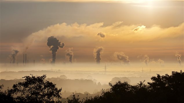 Sin medidas urgentes, el medioambiente quedará irremediablemente dañado para el futuro.