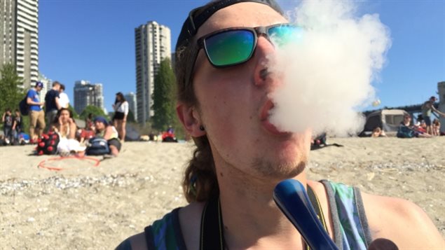 大麻合法化：吸食大麻后驾车的问题