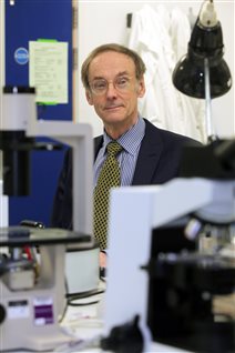 Dr. Roy Taylor says quick weight loss can reduce fat in the liver and pancreas, normalize their insulin action and thus reverse diabetes.