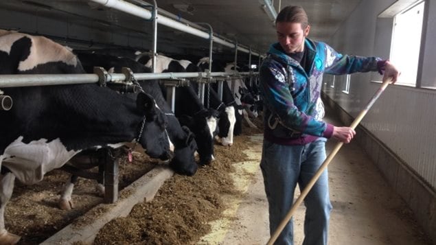 Shawn Soucy 16, has more time for farm chores since he was expelled from school in his graduating year. He now gets tutored in a school annex twice a week. 