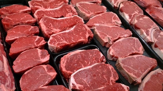 Alberta meat is no longer being served at Earls restaurants. We see several rows of prime red, raw meet laid out on a table.